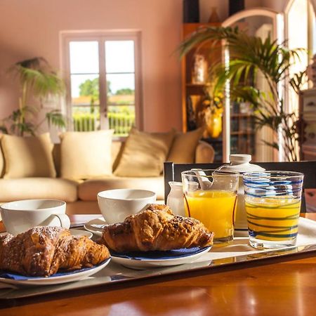 Cascina Canova B&B San Giuliano Terme Exteriér fotografie