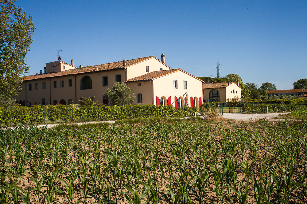 Cascina Canova B&B San Giuliano Terme Exteriér fotografie