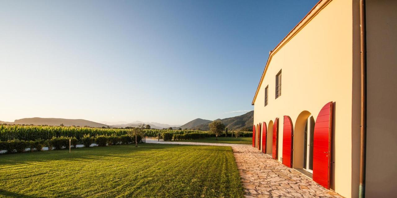 Cascina Canova B&B San Giuliano Terme Exteriér fotografie