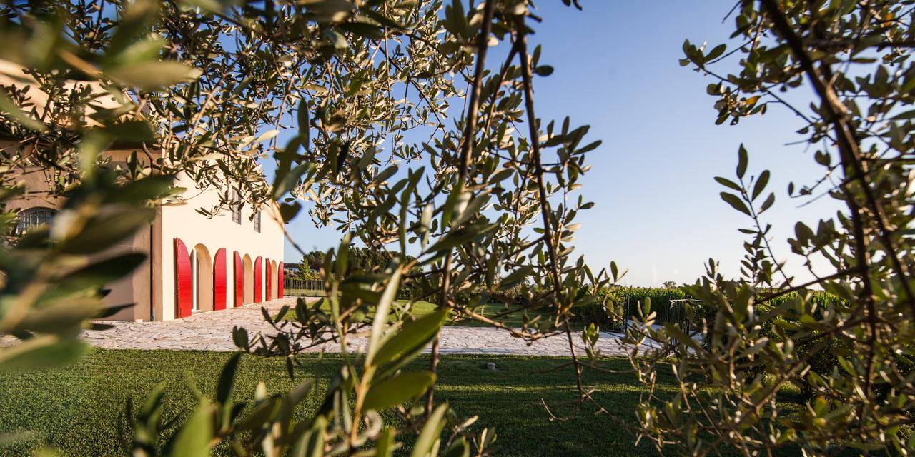 Cascina Canova B&B San Giuliano Terme Exteriér fotografie