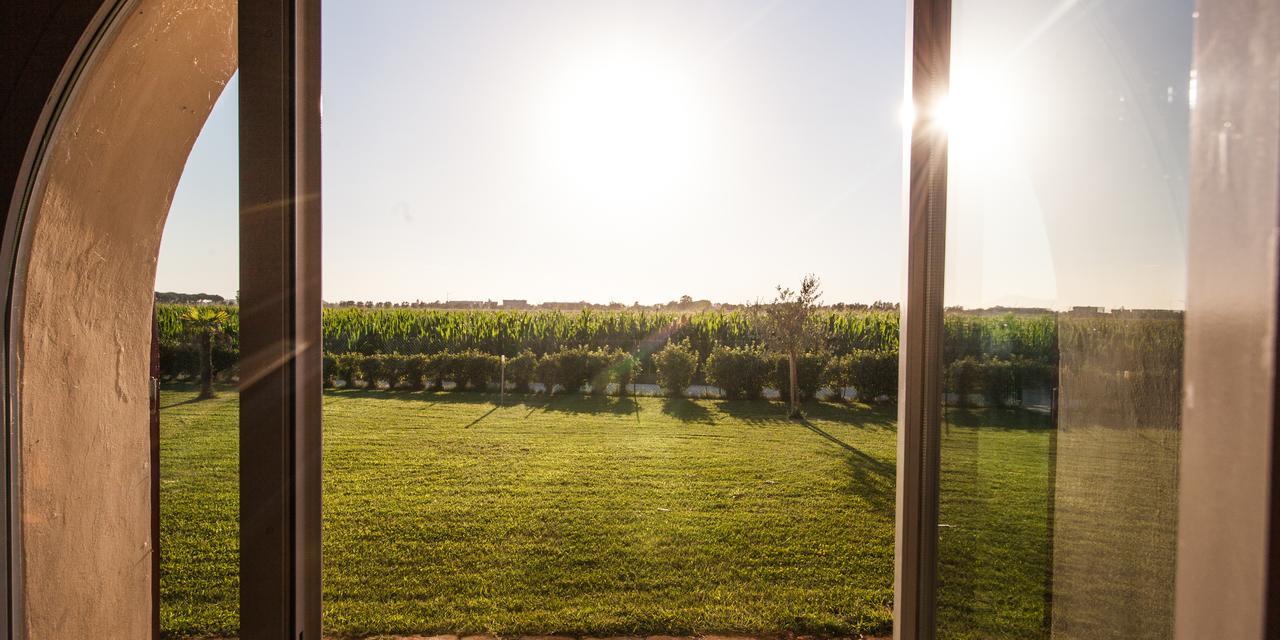 Cascina Canova B&B San Giuliano Terme Exteriér fotografie