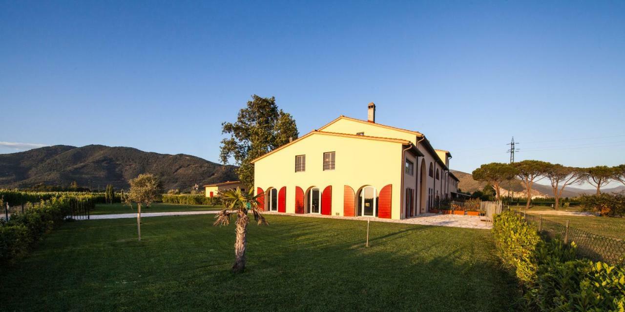 Cascina Canova B&B San Giuliano Terme Exteriér fotografie